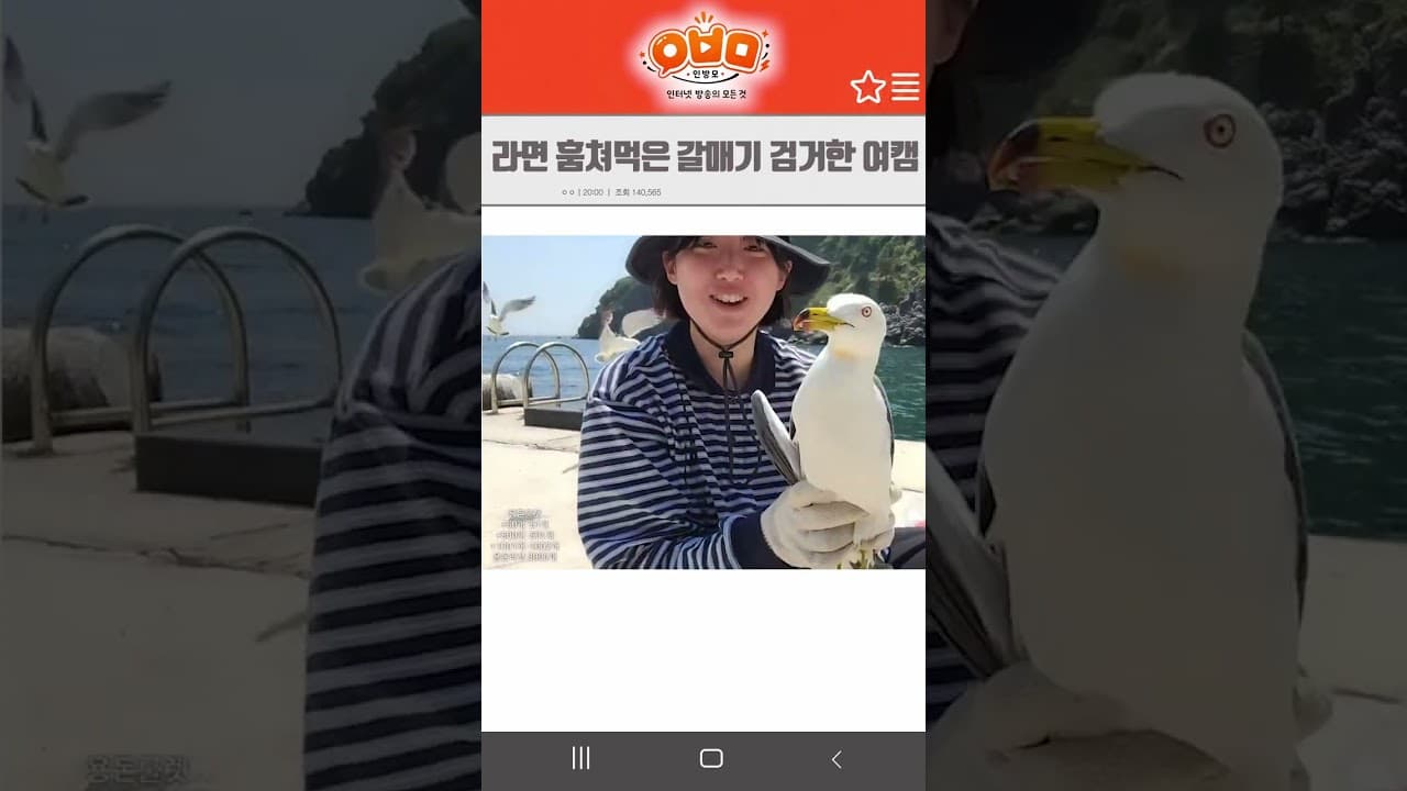 라면 훔쳐먹은 갈매기 검거한 여캠
